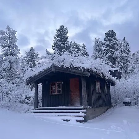 Masaplassen Friisvegen Mountain Lodge Ringebu Exterior photo