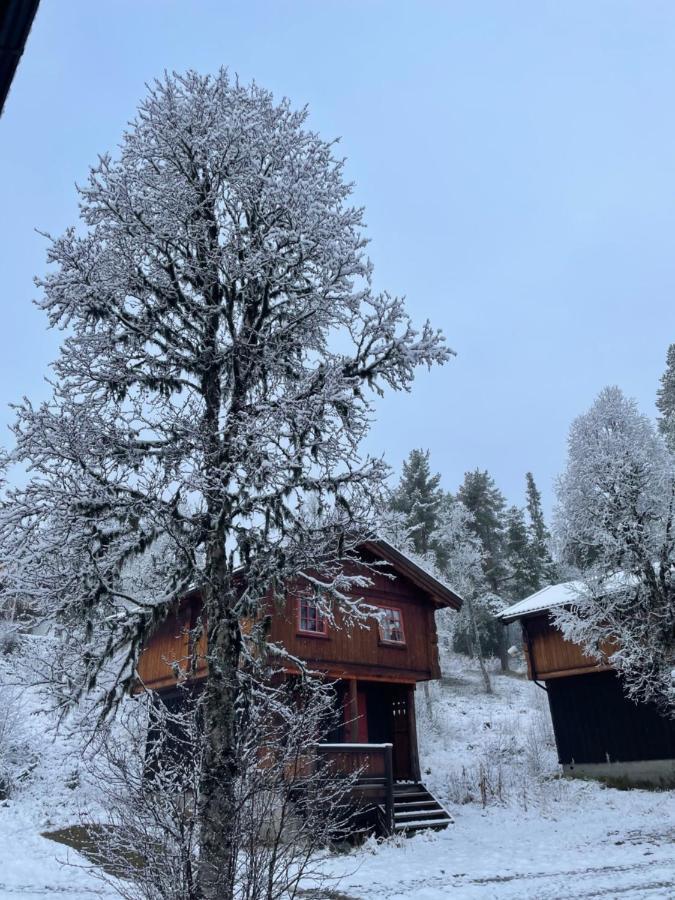 Masaplassen Friisvegen Mountain