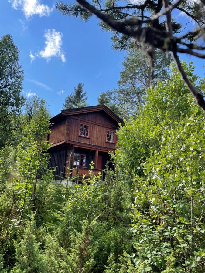 Lodge Masaplassen Friisvegen Mountain