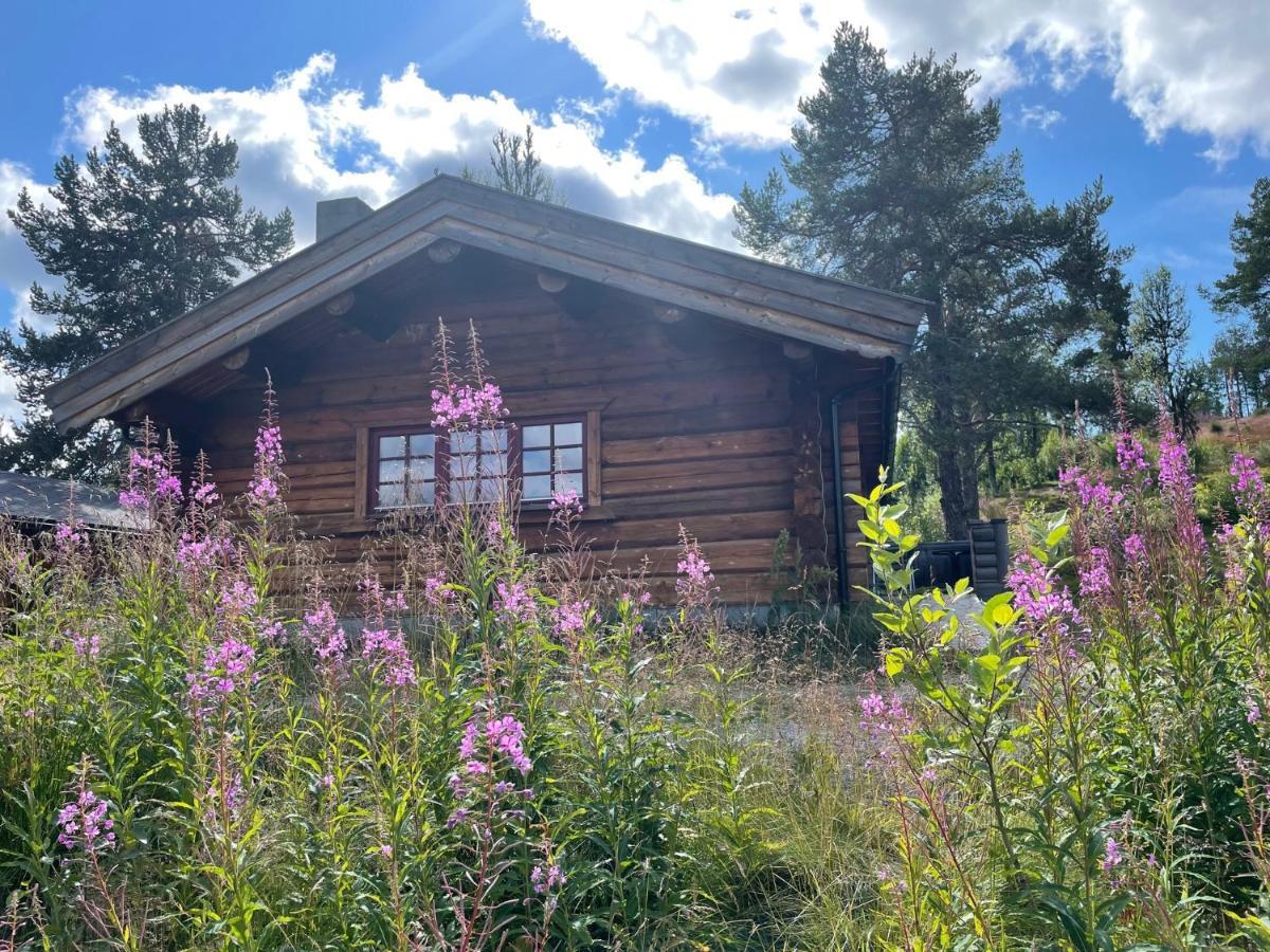 Lodge Masaplassen Friisvegen Mountain