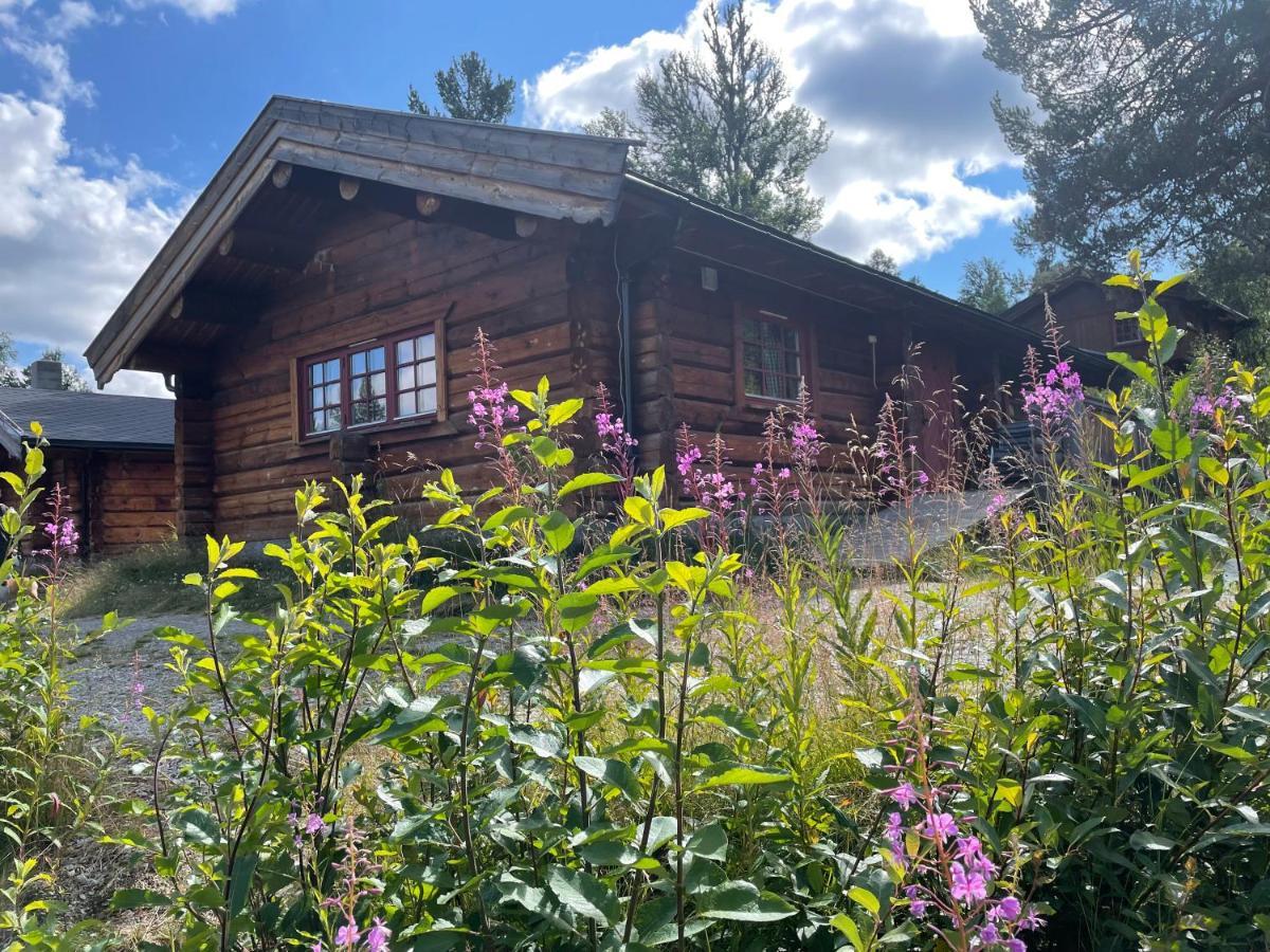 Masaplassen Friisvegen Mountain Lodge *
