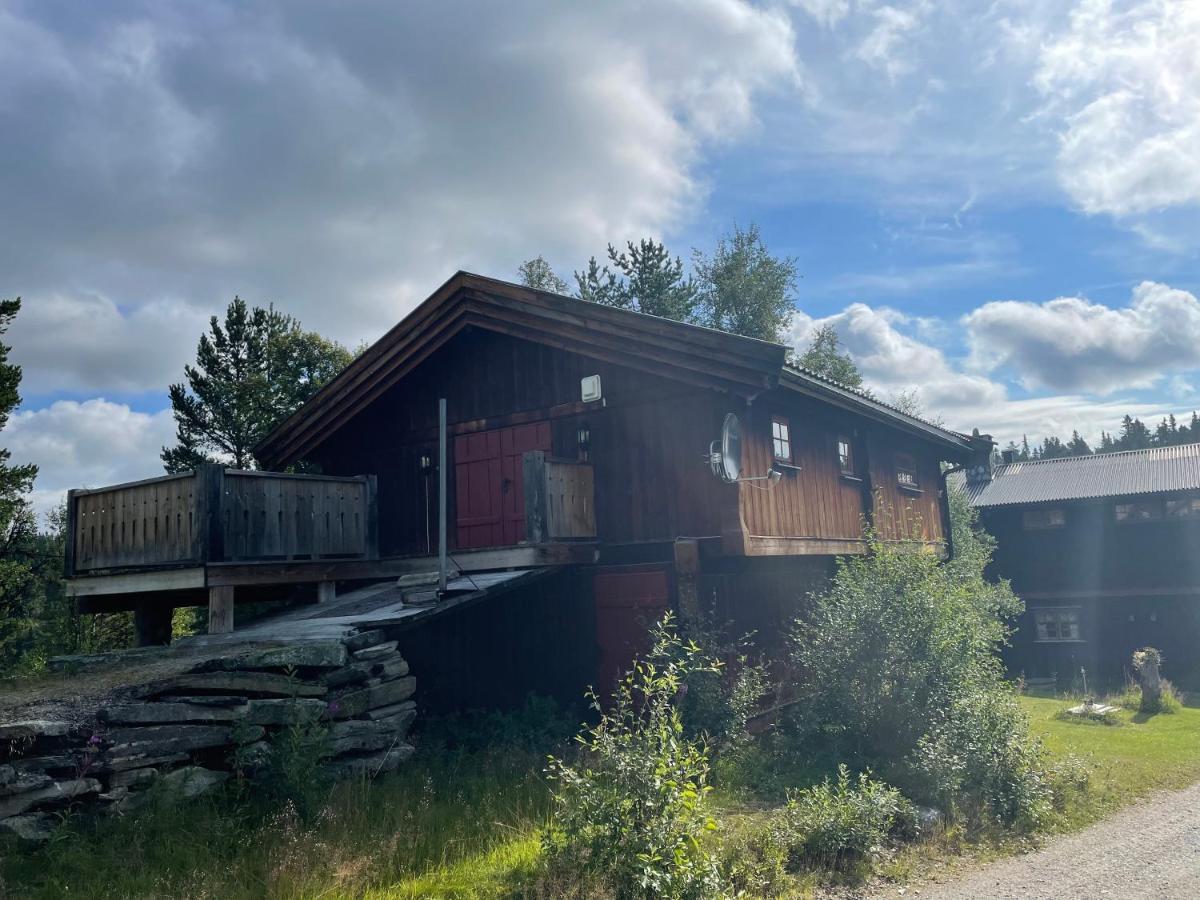 Masaplassen Friisvegen Mountain * Ringebu