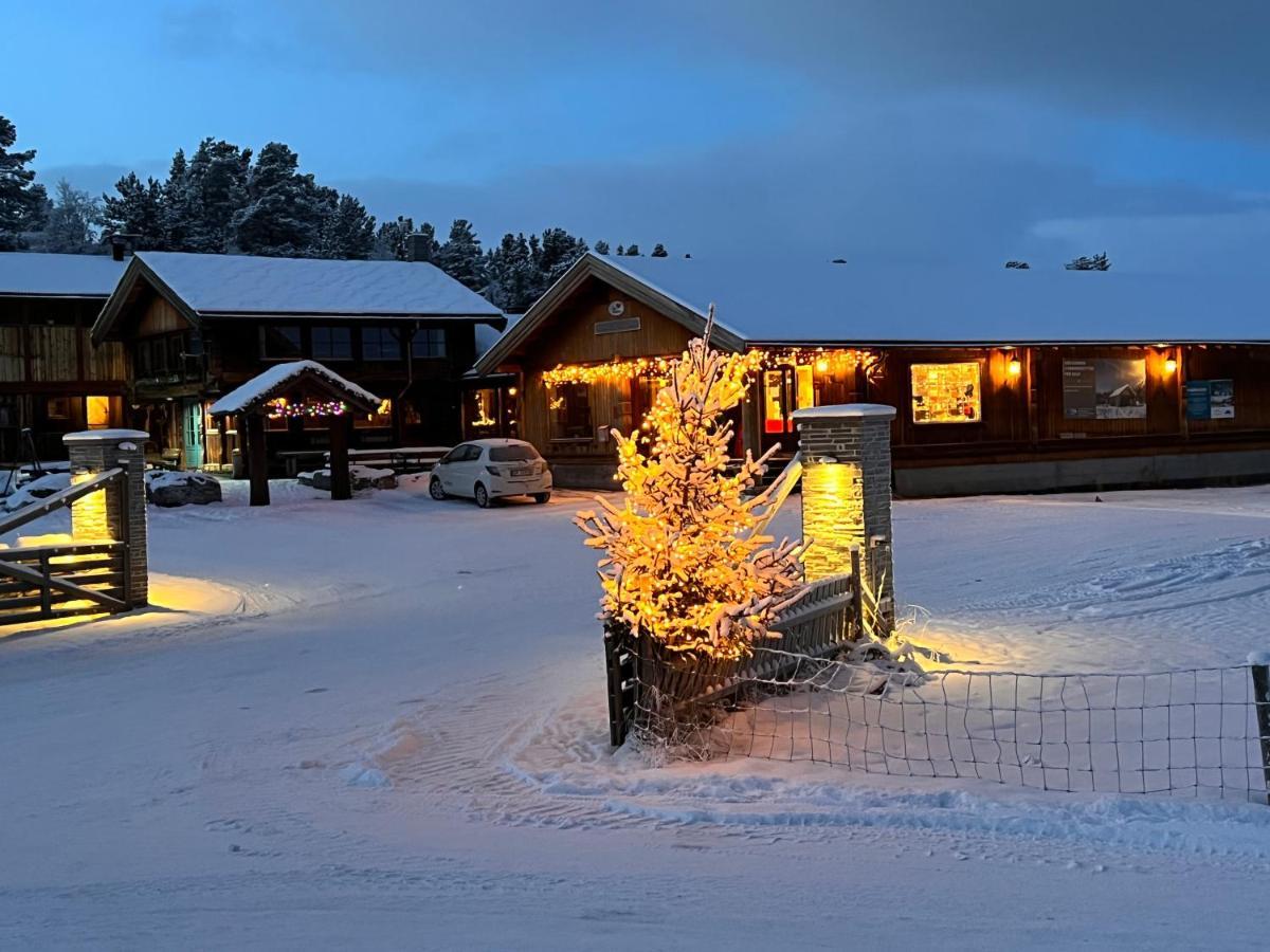 Lodge Masaplassen Friisvegen Mountain Ringebu