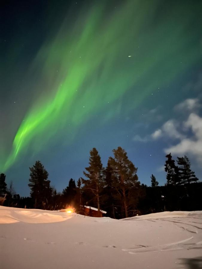 Masaplassen Friisvegen Mountain Lodge Ringebu