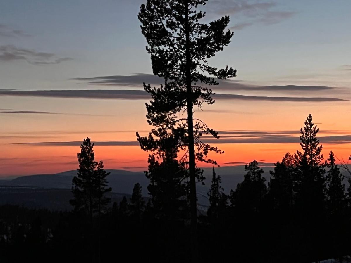 Masaplassen Friisvegen Mountain *