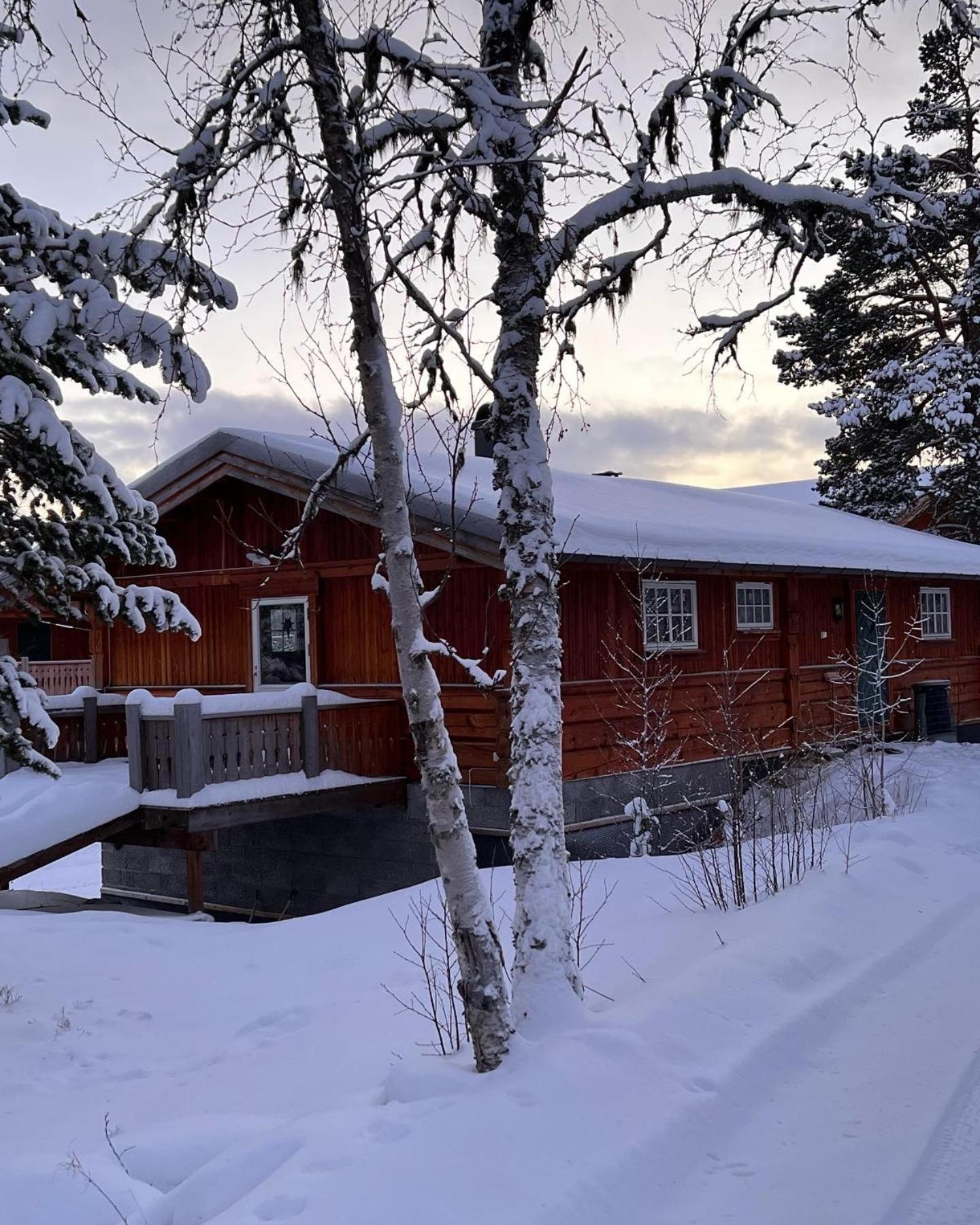 Masaplassen Friisvegen Mountain *