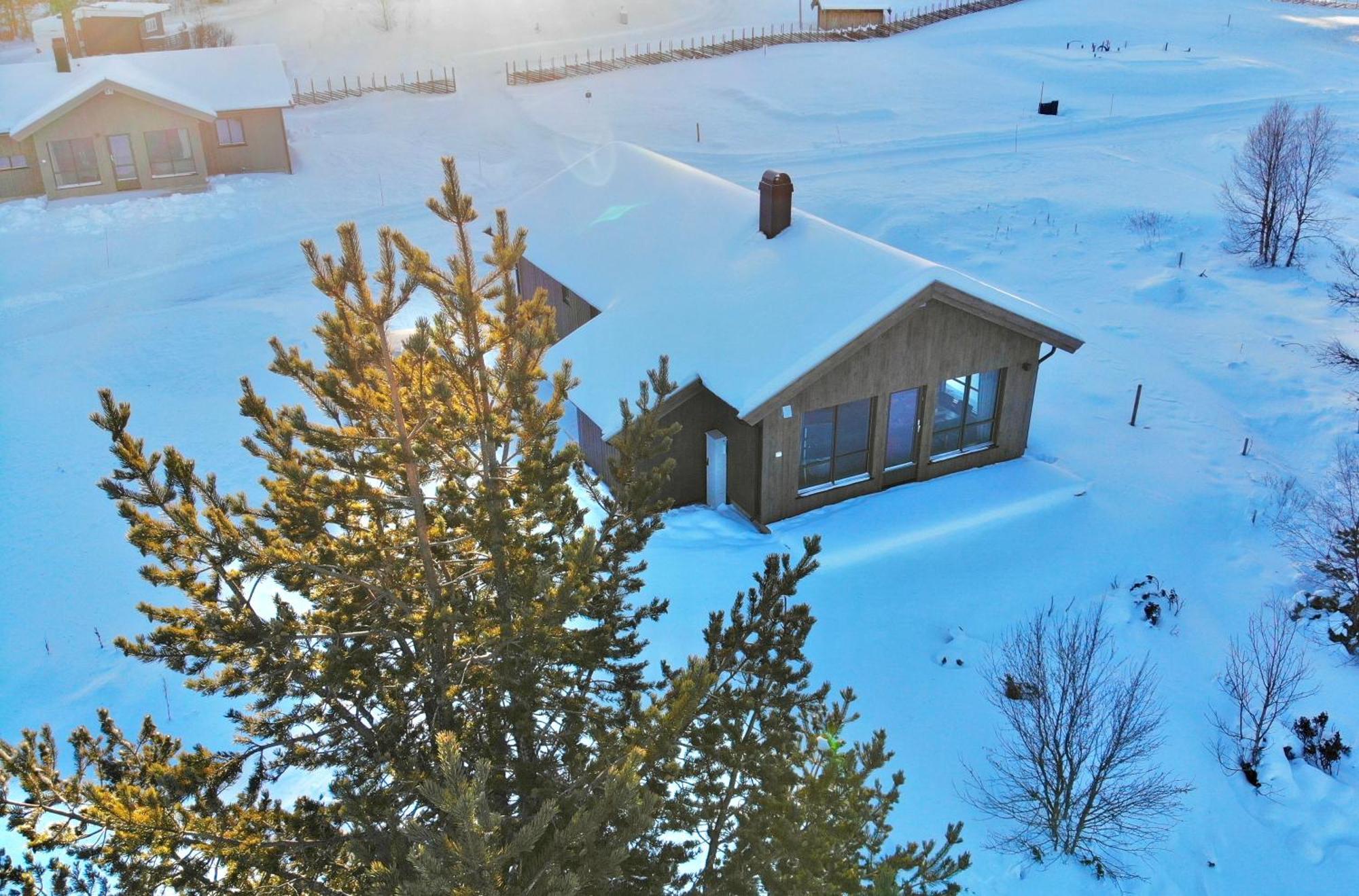 Lodge Masaplassen Friisvegen Mountain *