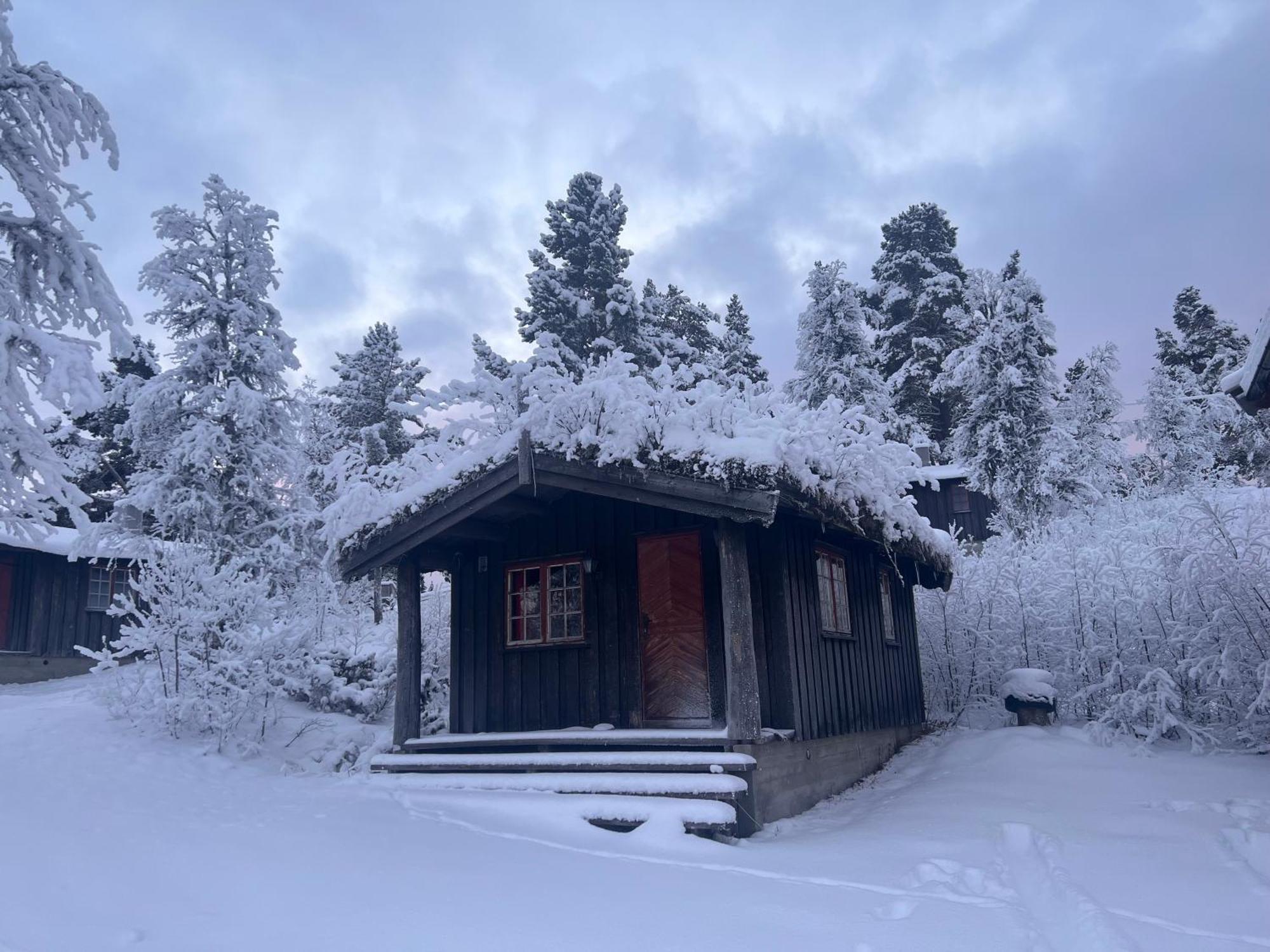 Lodge Masaplassen Friisvegen Mountain *