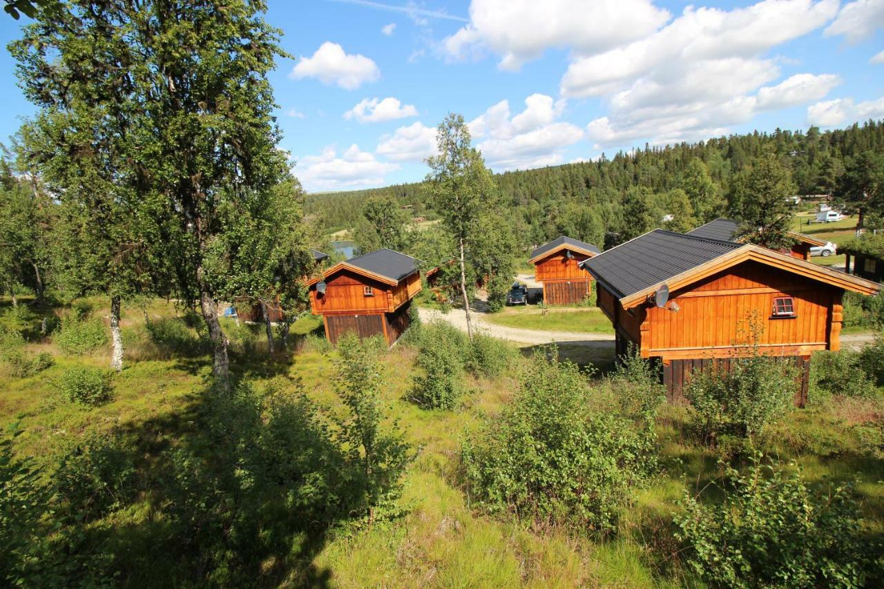 Masaplassen Friisvegen Mountain *