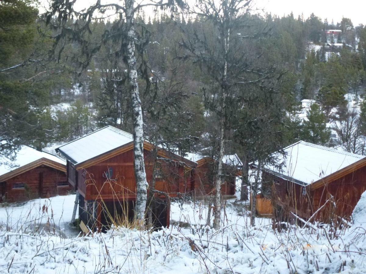 Lodge Masaplassen Friisvegen Mountain
