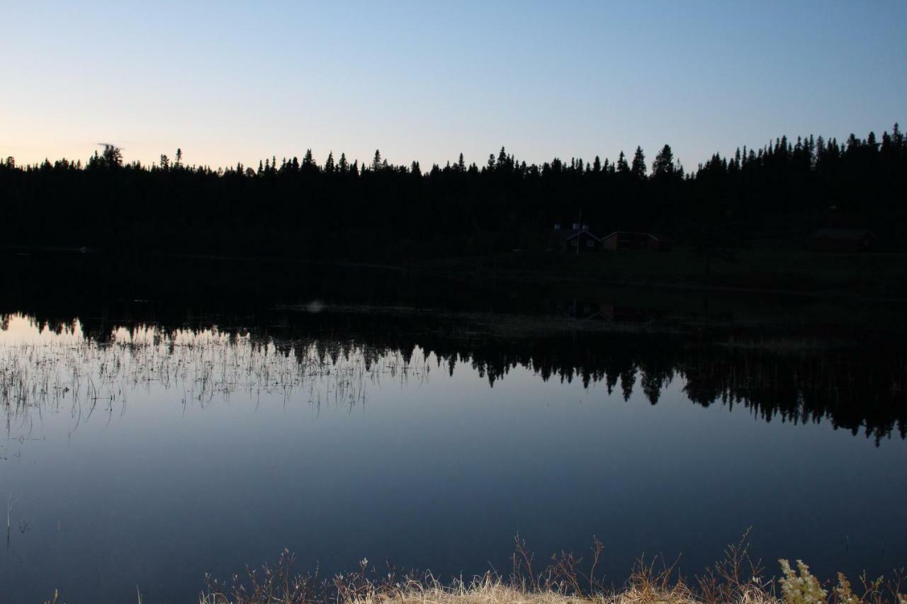Lodge Masaplassen Friisvegen Mountain