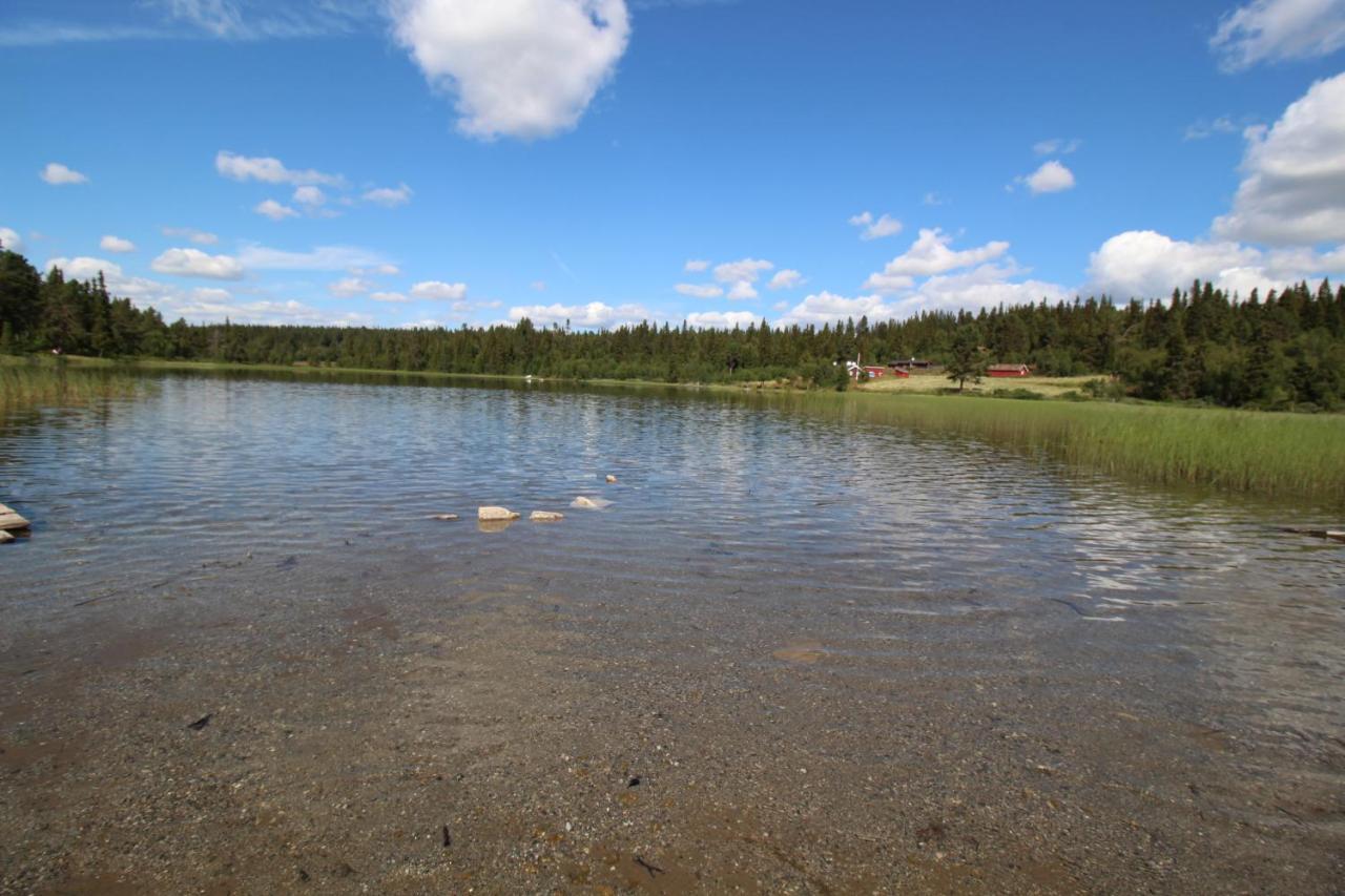 Masaplassen Friisvegen Mountain * Ringebu