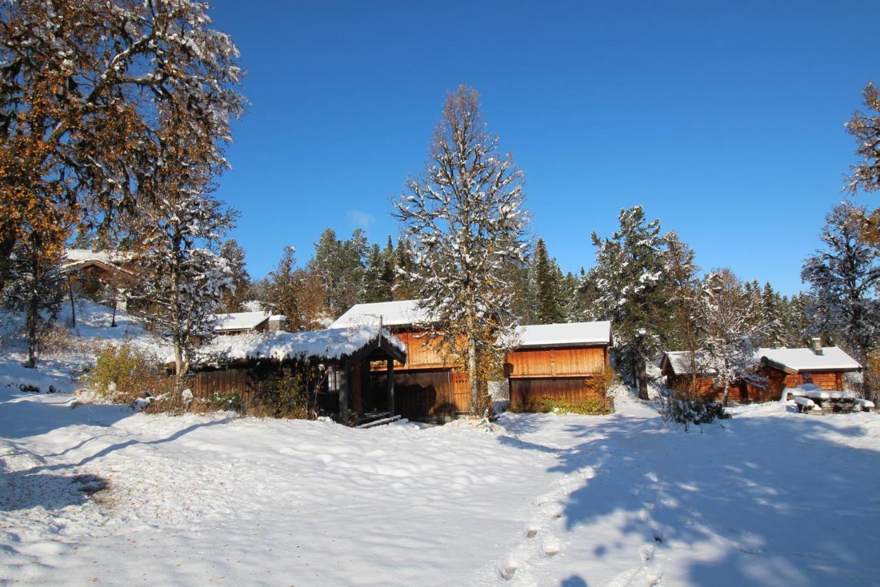 Masaplassen Friisvegen Mountain Lodge