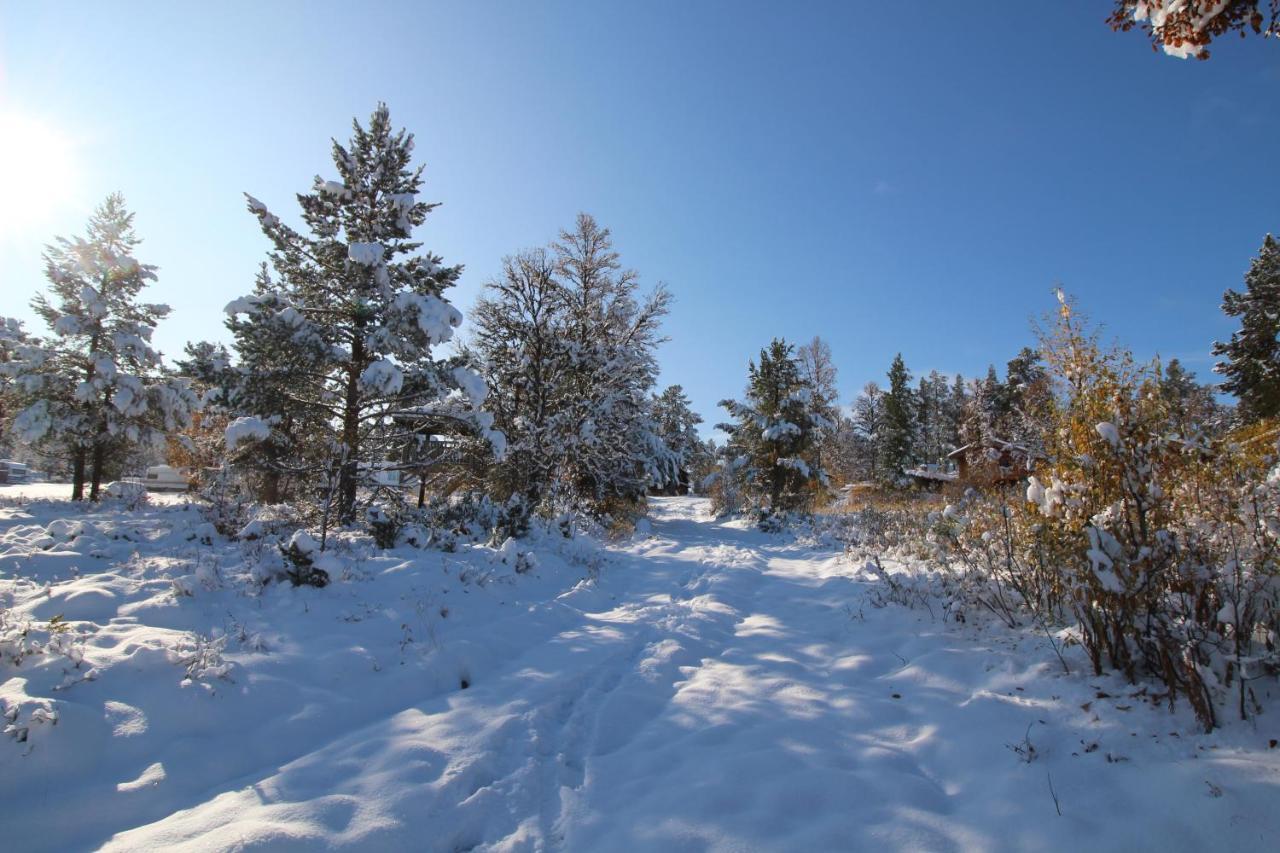 Masaplassen Friisvegen Mountain