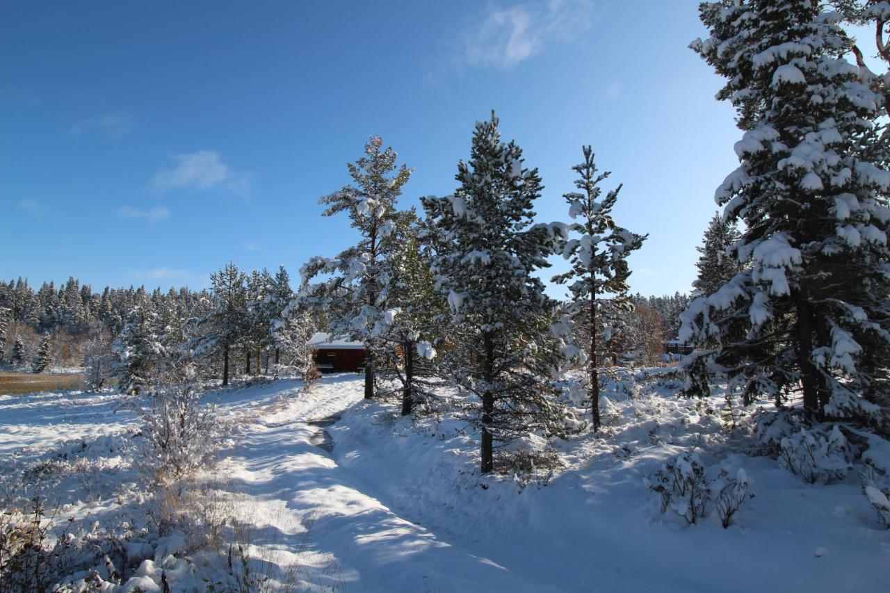 Masaplassen Friisvegen Mountain Ringebu