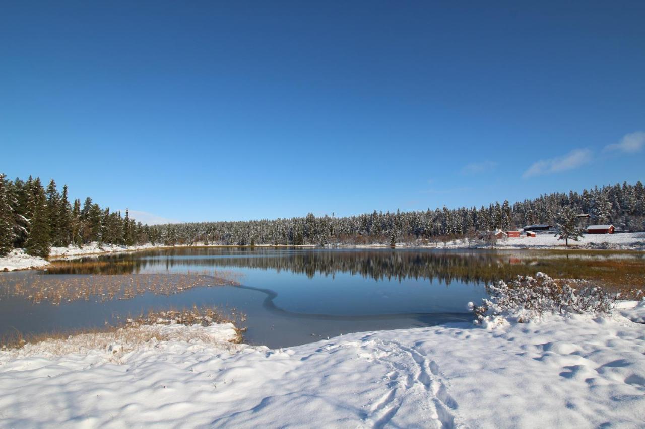 Lodge Masaplassen Friisvegen Mountain
