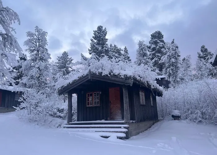 Måsåplassen Friisvegen Mountain Lodge