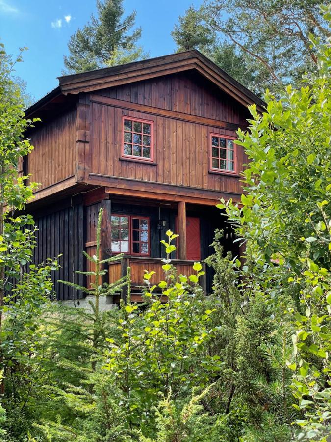 Lodge Måsåplassen Friisvegen Mountain *
